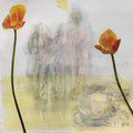Transzendent
