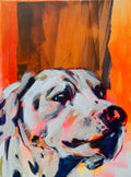 Labrador