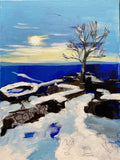 Winter im Siebengebirge VI