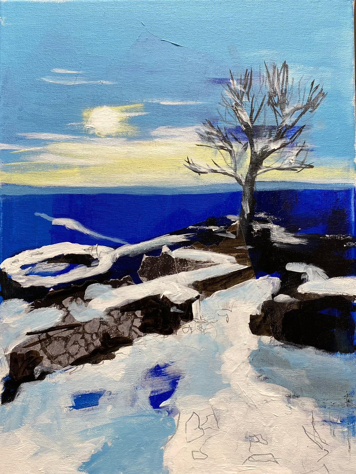 Winter im Siebengebirge VI