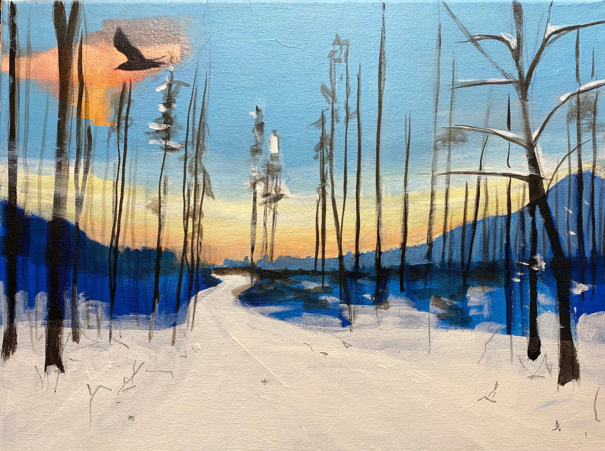Winter im Siebengebirge VII